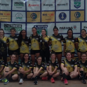 campeonato-paranaense-de-handebol-feminino---sub-18.jpeg